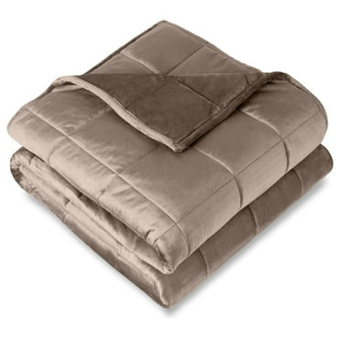 Weighted Blanket Twin or Full Size 10lb (40" x 60") - Minky Fleece - Premium Heavy Blanket Nontoxic Glass Beads (Taupe, 40"x60") 40" x 60" 10 lbs 17 - Minky Fleece Taupe