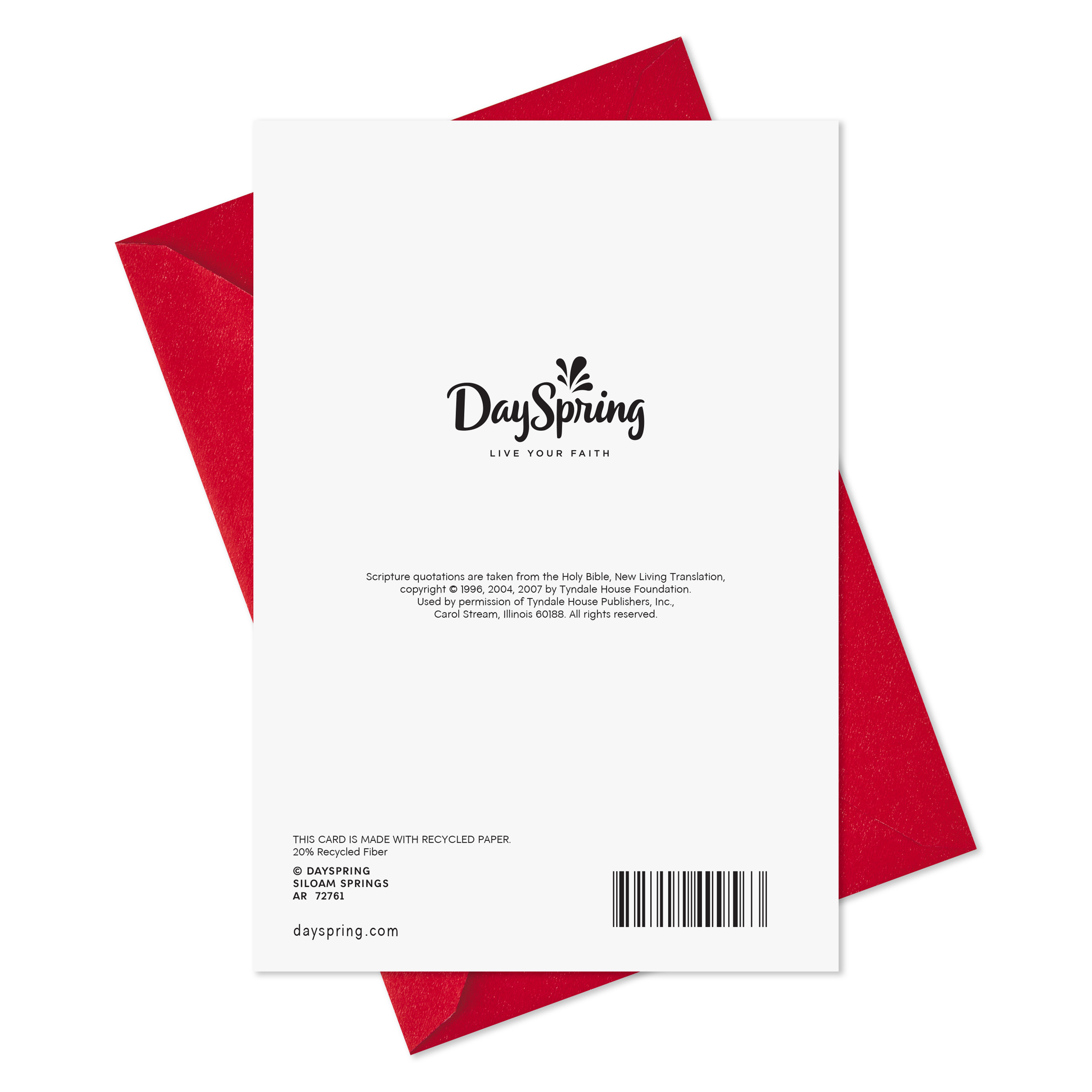 DaySpring Religious Christmas Greeting Card for Godson (God Made You a Joy)