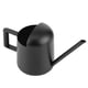 thumbnail image 1 of RiOgo lata RiOGO de acero inoxidable de alta puede riego de acero inoxidable lata de 300 ml plantas en macetas riague, 1 of 7