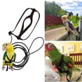 thumbnail image 1 of Arnés para pájaros y loros para mascotas, correa ajustable para pájaros, arnés volador, cuerda de tracción con ala bonita para loros, juguete de entrenamiento al aire libre M negro, 1 of 4