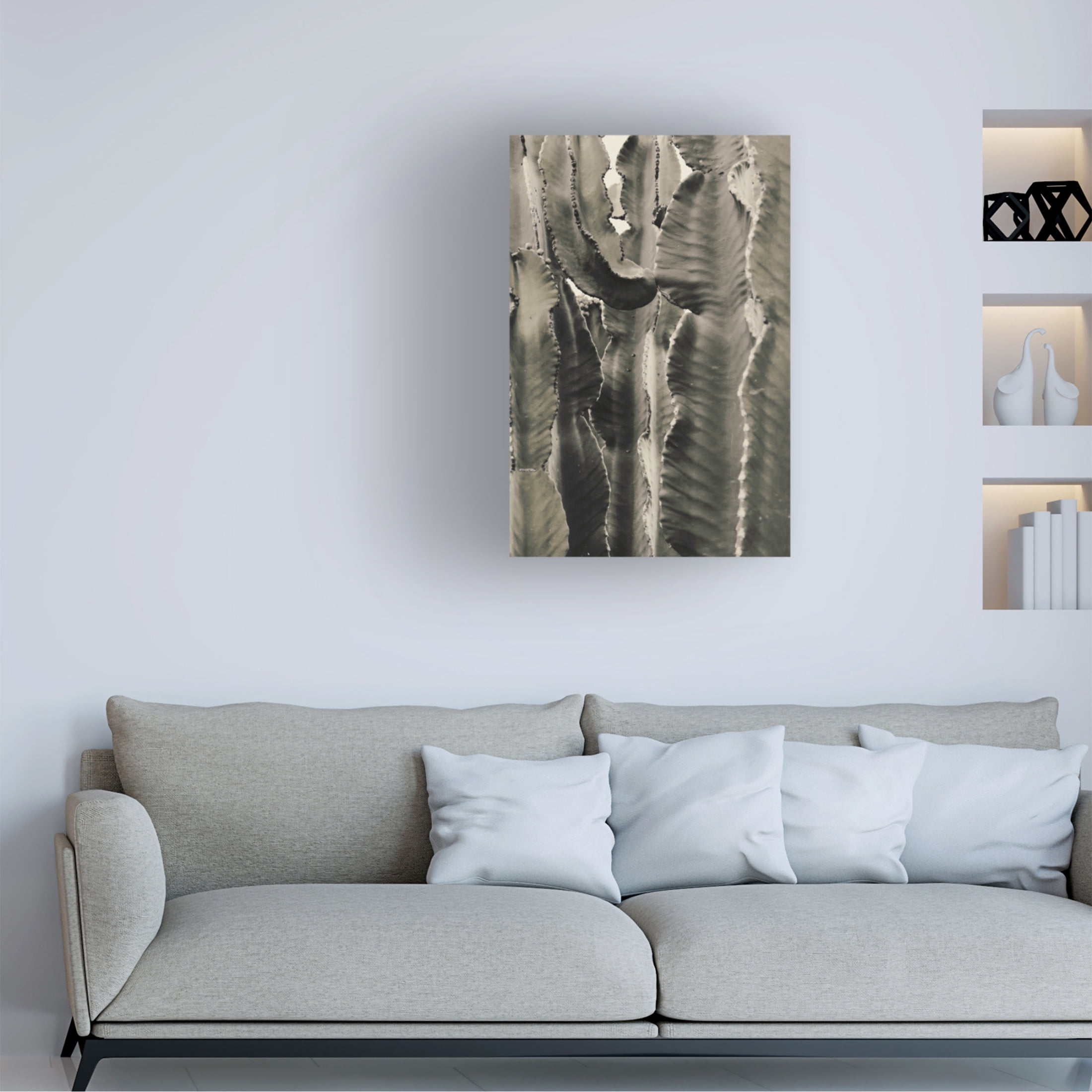 Trademark Fine Art Pictufy Studio III Cactus 2 Canvas Wall Art