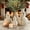 L, variant on Terra Cotta Snowman, Handcrafted Terracotta Snowman Decor, Christmas Decorations for Indoor, White Clay Statue Figurines for Table Decorations, Plaster Ornament & Festive Winter Decor Collection(L)
