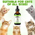 thumbnail image 3 of Oimmal Cats 3in1 Probiotic Drops, Probiotics Pre & Probiotics with Enzymes, Provides Beneficial Bacteria | Supports Digestive Health & Gut Immunity, 2 fl. oz (60ml) - 2 Bottles, 3 of 10