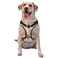 thumbnail image 1 of Wukai Harnais pour Animaux de Compagnie Western Desert Cowboys1, Gilet Laisse pour Animaux - Boucle Réglable, Design Réfléchissant, Accessoires pour Petits, Moyens et Grands Chiens - Très Grand, 1 of 6