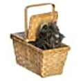 thumbnail image 3 of Costumes For All Occasions Ru583 Toto avec Panier Deluxe Web, 3 of 4