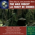 thumbnail image 2 of The Sounds of Nature - The Oak Forest - New Age - CD, 2 of 2