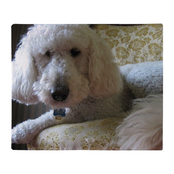 CafePress Goldendoodle Throw Blanket Soft Fleece Throw Blanket, 50