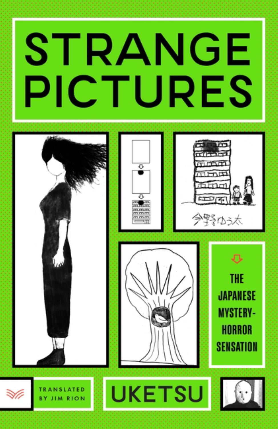 Strange Pictures: A Novel (Paperback) - Walmart.com