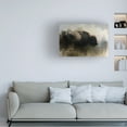 thumbnail image 2 of Trademark Fine Art Jai Johnson Abstract American Bison Canvas Wall Art - 22x32, 2 of 4