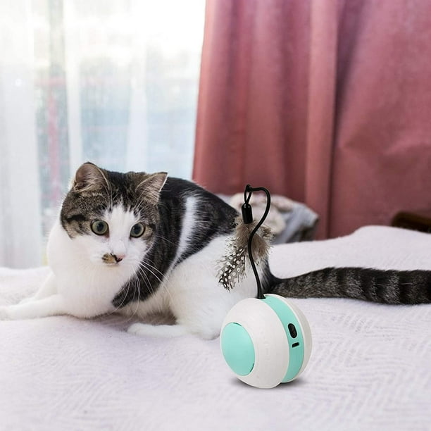 New interactive top cat toys