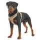 thumbnail image 1 of Auroth - Arnés táctico para perros grandes, sin tirones, arnés ajustable para mascotas, reflectante, K9, entrenamiento, trabajo, de fácil control, chaleco de servicio militar para perros (L, amarillo, 1 of 5