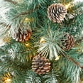 thumbnail image 4 of 44in. Frosted Tip British Columbia Mountain Pine Artificial Christmas Tree with 50 Clear Lights, Pine Cones and 112 Bendable Branches in Red Tower Planter, 4 of 6