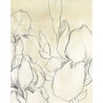thumbnail image 2 of Vess, June Erica 26x32 White Modern Wood Framed Museum Art Print Titled - Iris Garden Sketch I, 2 of 4