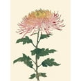 thumbnail image 2 of Unknown  15x18 White Modern Wood Framed Museum Art Print Titled - Chrysanthemum Woodblock II, 2 of 4