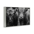 thumbnail image 4 of Cow Faces on Farm Gray Framed Giclee Art, design by Amy Carroll, 4 of 9