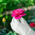 thumbnail image 3 of Gants de Jardinage en Cuir à Manches Longues, 3 of 5