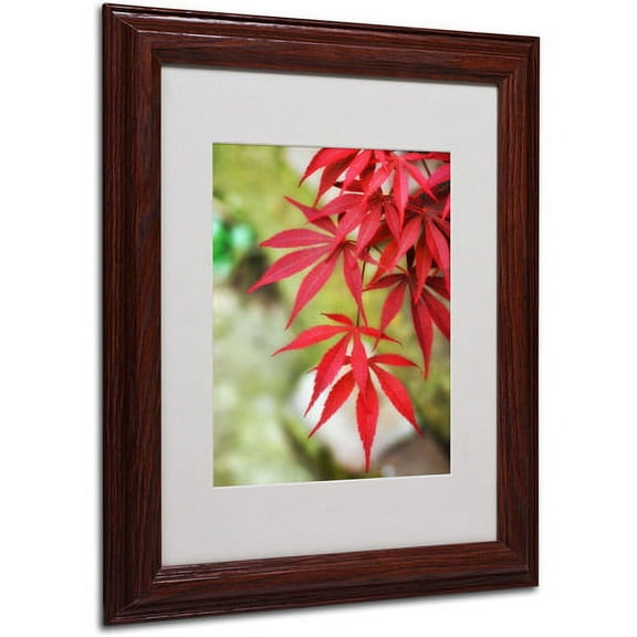 Trademark Fine Art "Japanese Maple" Canvas Art by Philippe Sainte-Laudy, Wood Frame