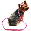Sweetheart Collar&Leash Bundle Set