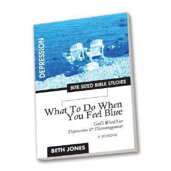 Pre-Owned What to Do When You Feel Blue: God's Word for Depression and Discouragement (Bite Sized Bible Studies) (Paperback) 1933433000 9781933433004