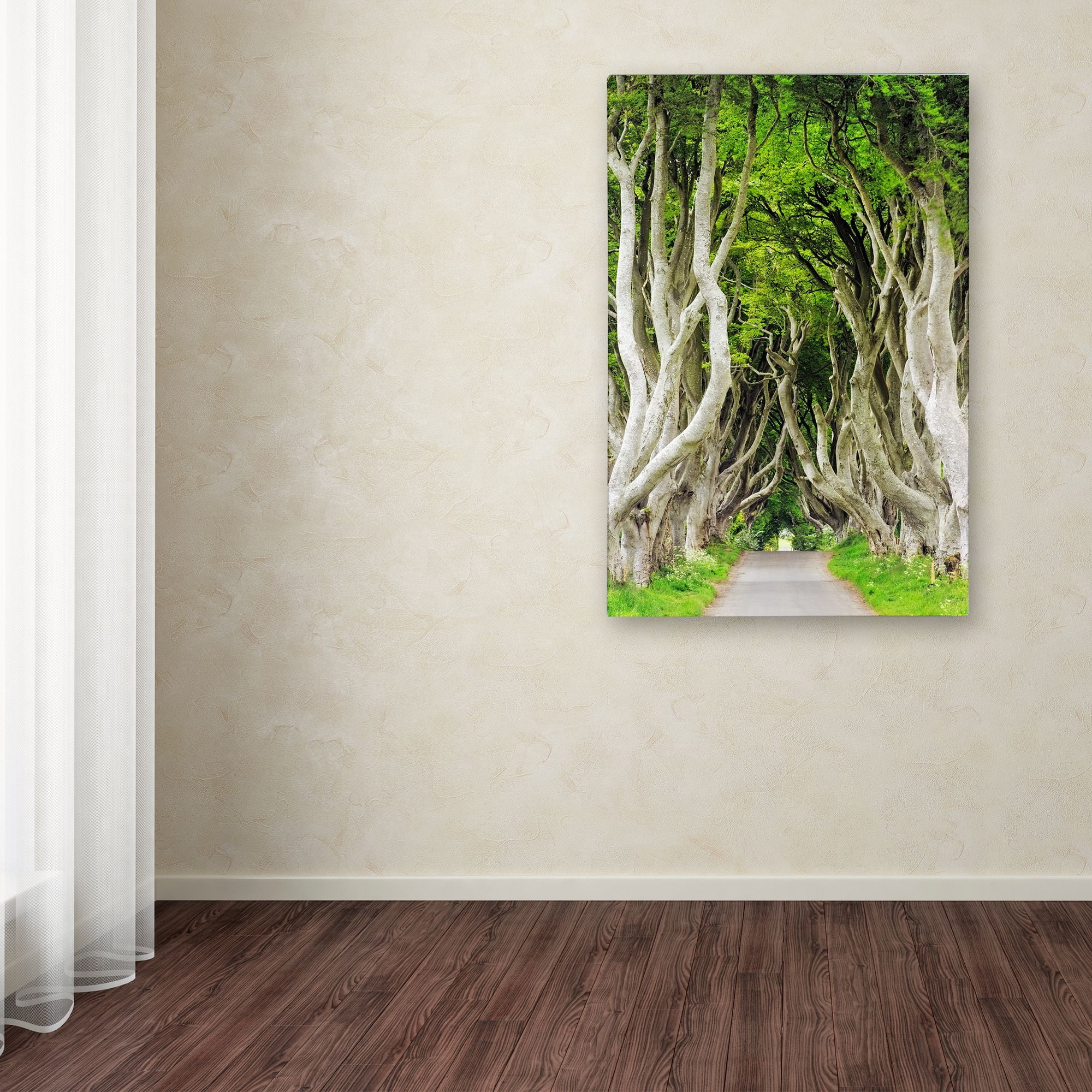 Trademark Fine Art "The Dark Hedges" Canvas Art by Philippe Sainte-Laudy