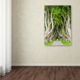 thumbnail image 3 of Trademark Fine Art "The Dark Hedges" Canvas Art by Philippe Sainte-Laudy, 3 of 3