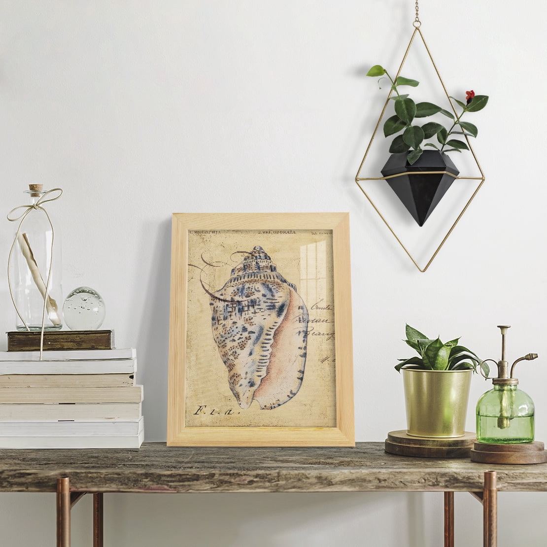 Seashell Ephemera I - Framed Print w/glass - Natural Wood