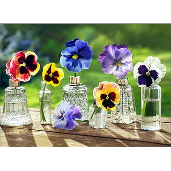 Avanti Press Pansies In Glass Bottles Blank Note Card