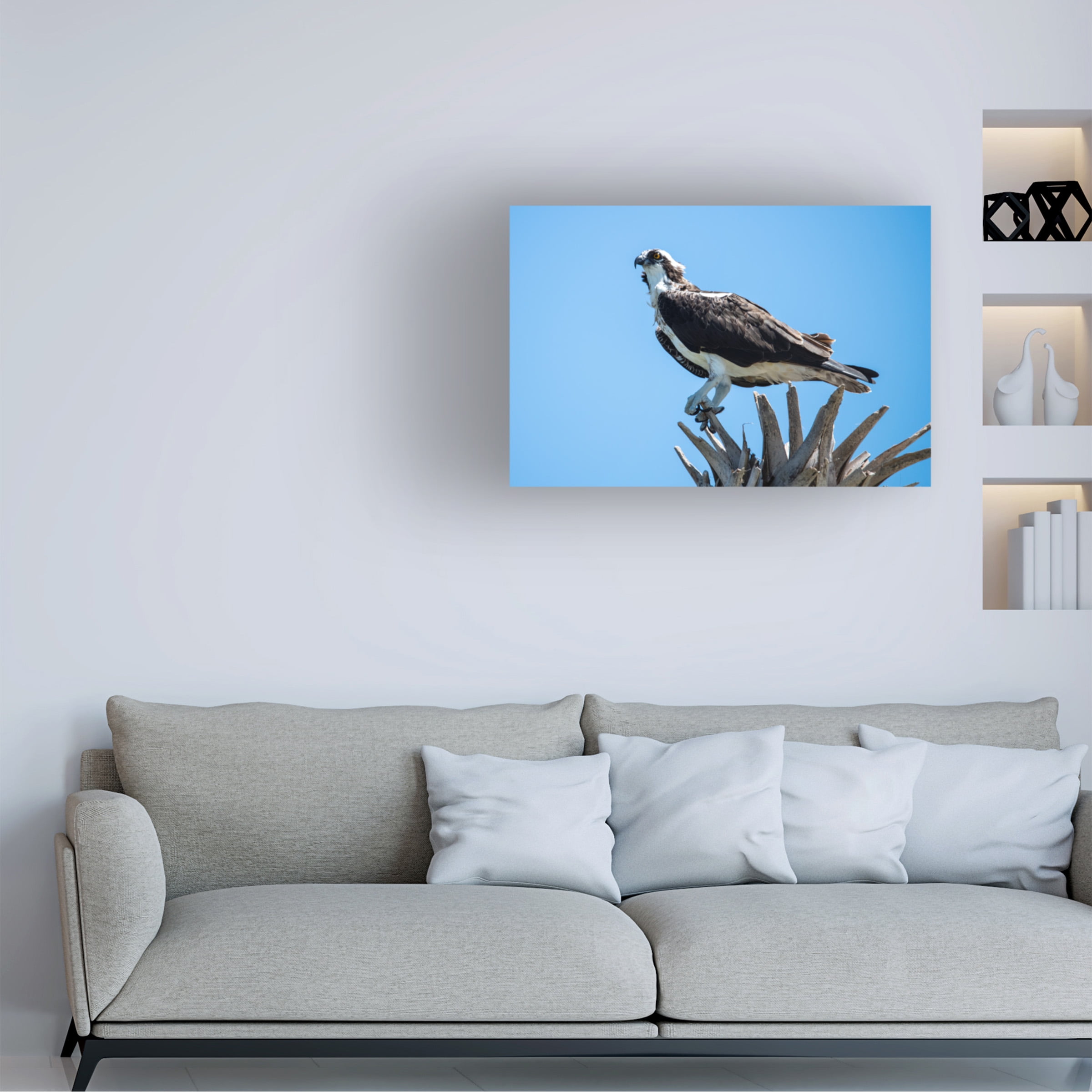 Robert Michaud 'Osprey' Canvas Art