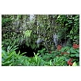 thumbnail image 1 of Great BIG Canvas | "South Pacific, French Polynesia, Tahiti, Maraa Cave, fern grotto and lava tube cave" Art Print - 48x32, 1 of 4