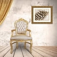 thumbnail image 3 of Stellar Design Studio 14x12 Gold Ornate Wood Framed with Double Matting Museum Art Print Titled - Snowy Pinecone, 3 of 4