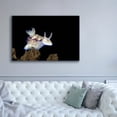thumbnail image 5 of Epic Graffiti 'Nudibranch On Coral Reef' by Epic Portfolio, Canvas Wall Art, 60"x40", 5 of 8