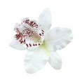 thumbnail image 1 of RYGRZJ Femmes Fleur Cheveux Clip Broche Épingle Mariage Mariée Accessoires Fête, 1 of 1