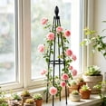 thumbnail image 5 of JHyouerji Vine Plant Trellis for Climbing Plants,Black DIY Adjustable Height Planting Basket Support Frame for Outdoor Indoor Vines Vegetable Fruits Flowers, 5 of 6