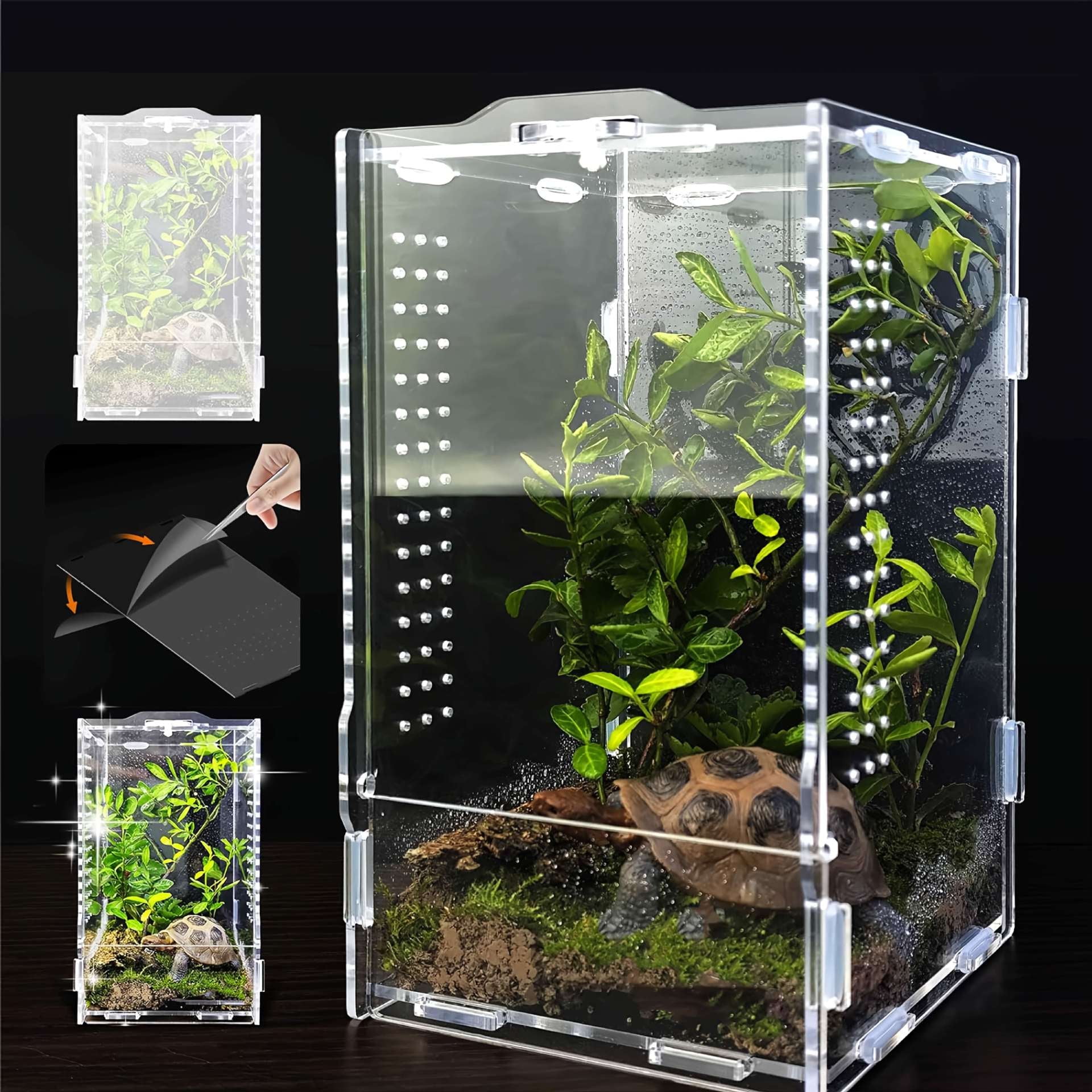 Acrylic Jumping Spider Habitat & Insect Terrarium - Enclosures for Praying Mantises, Frogs & Small Bugs