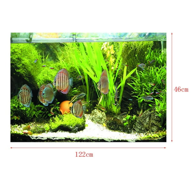 kusrkot 3D Aquarium Background Tropical Grass Tank Picture Decoration XL Walmart