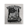 thumbnail image 4 of Harley-Davidson Men's American Spirit Short Sleeve Crew-Neck T-Shirt, Gray (3XL), Harley Davidson, 4 of 4