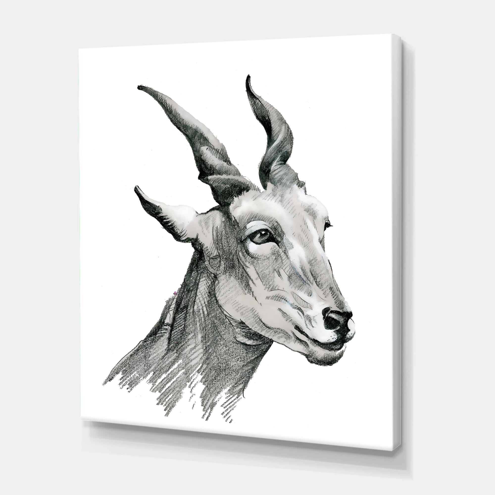 Designart ' Black and White Portrait Of Goat I ' Farmhouse Canvas Wall Art Print