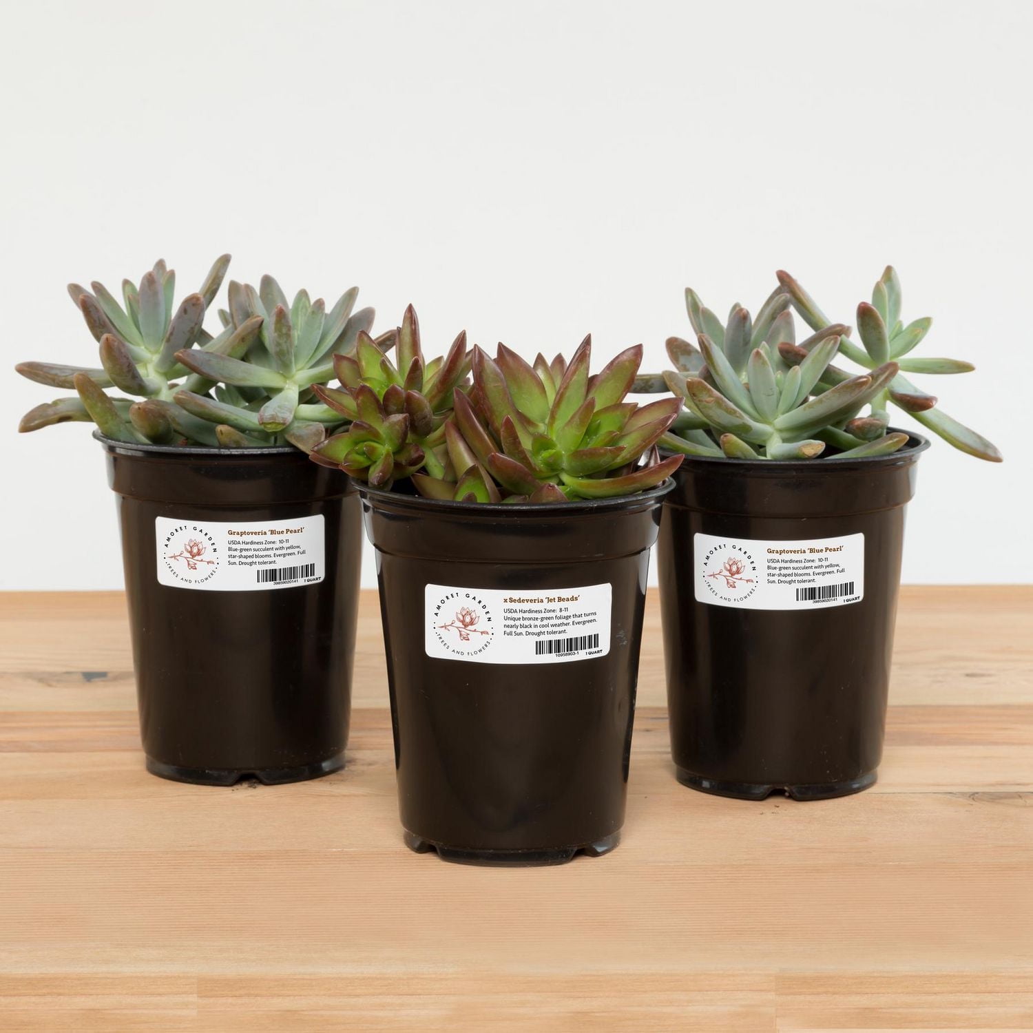 Avery® Étiquettes imperméables, 1 po x 2⅝ po, adhésif permanent, pour imprimantes laser - 85520 imperméables, 1" x 2⅝"