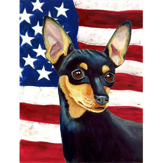 11 x 15 In. Usa American Flag With Min Pin Flag, Garden Size