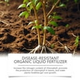 thumbnail image 3 of Vegetable And Fruit Plant Organic Liquid Fertilizer Environmental Protection Plant Vegetable And Fruit Liquid Plant Nutrient Soil Improvement, 3 of 5