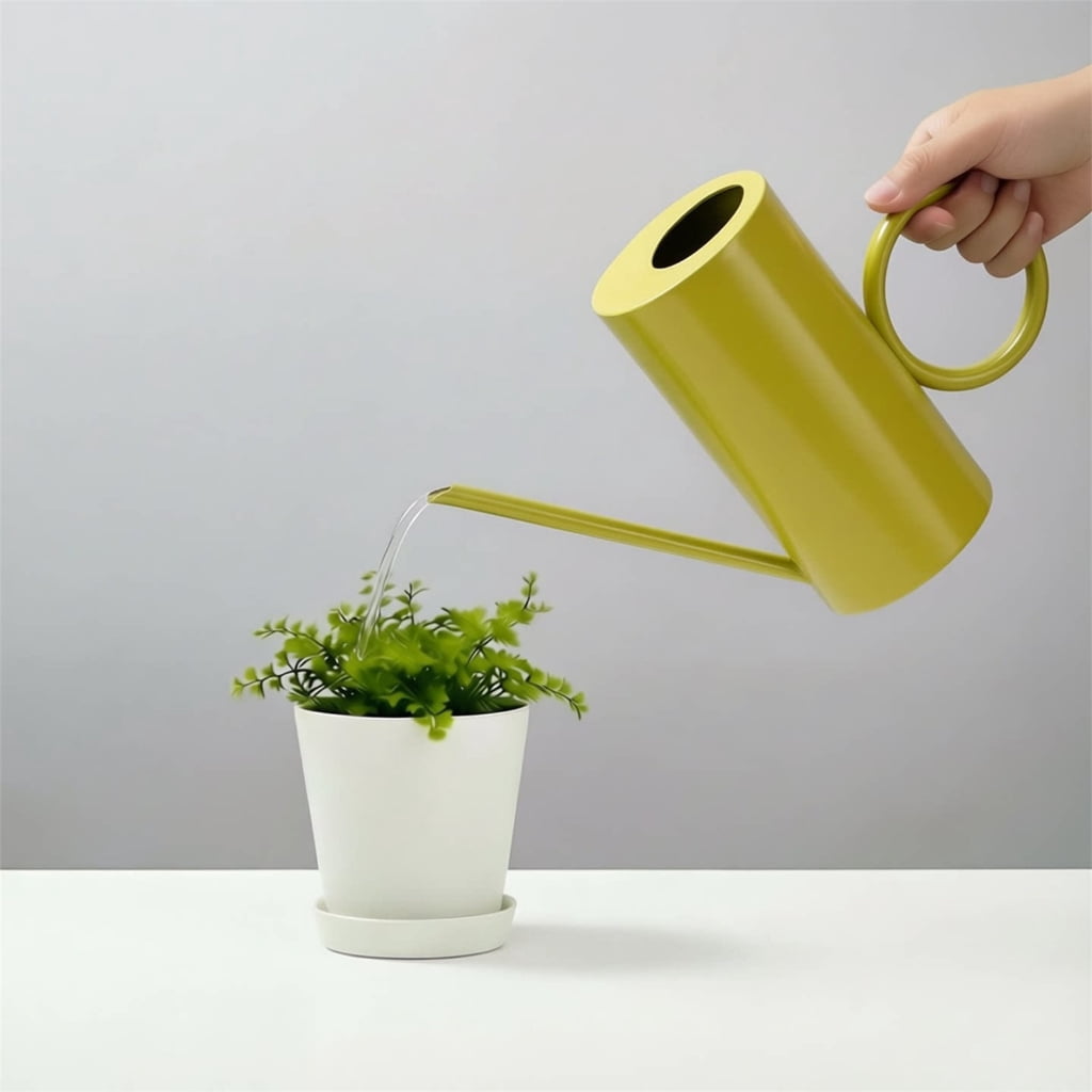 Small Watering Can for Indoor Plant Long Spout Watering Can for House Plant Flowers Succulents