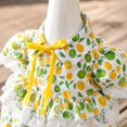 thumbnail image 5 of Porch Goose Outfits, Lemon Print Lawn Goose Statue Clothes, Yard Gooses Costume Dress Hat Outfit for 23" Statue Patio Garden Decoration, 5 of 6