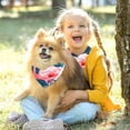 thumbnail image 5 of Flamingo Light and Breathable Chiffon Yarn Dog Scarf Pack of Two - Translucent Pet Collars 40.6x40.6x58/16x16x22.8in, 53.3x53.3x76.2/20.9x20.9x30 in, 5 of 5