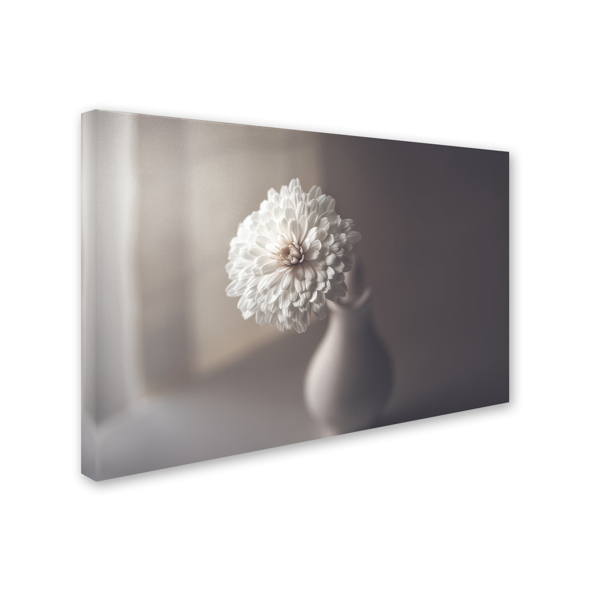 Trademark Fine Art 'Window Light' Canvas Art by Jose Antonio Sánchez