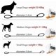thumbnail image 3 of Reflective Dog Lead Slip Roap Pets Leash For Small, Medium, Large And Extra Heavy Dogs And Cats, 3 of 5