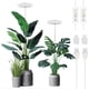thumbnail image 2 of Luz de cultivo de plantas, yadoker LED de espectro completo para plantas de interior, altura ajustable, temporizador automático, bajo voltaje seguro de 5 V, idea para luz de plantas grandes, paquete d, 2 of 4