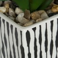 thumbnail image 5 of Kibo Mini Faux Succulent Stripe Pot, 5 of 5