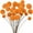 Orange, variant on Duslogis 20 Pcs Dried Craspedia Billy Balls Flowers, 16” Natural Dried Flowers Bouquet for Vase Floral Arrangements Wedding Table Centerpieces Party DIY Home Decor (Beige)