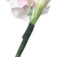 thumbnail image 3 of Cinta de flores Laklulu, cinta de floristería verde de 30 m x 10 mm para ramo, 3 rollos, 3 of 4