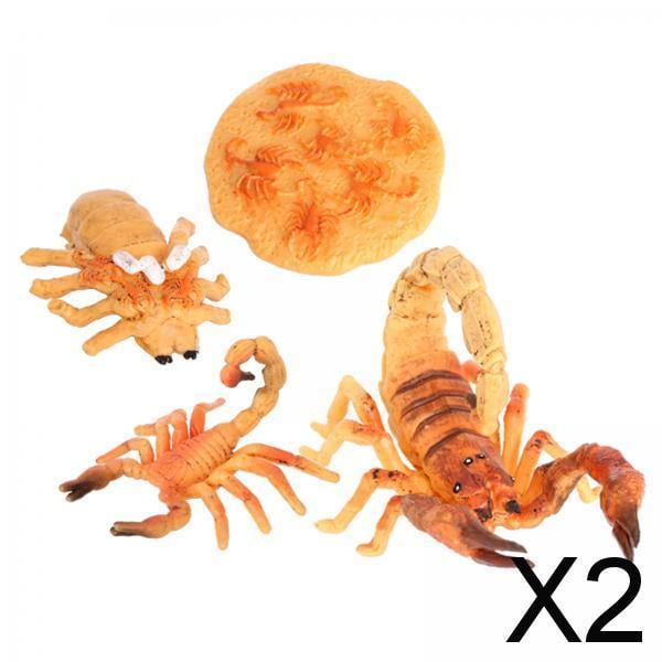 Juego de crecimiento de insectos para niños perfke Material didáctico del ciclo de crecimiento del animal 2 piezas